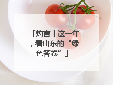 灼言丨这一年，看山东的“绿色答卷”