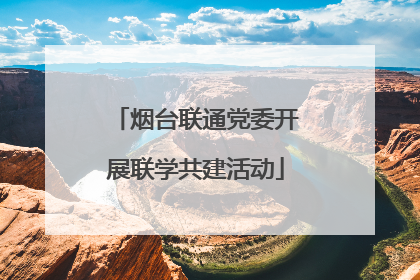 烟台联通党委开展联学共建活动
