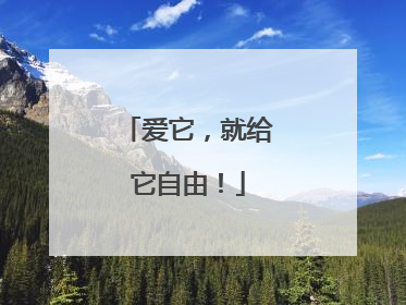 爱它，就给它自由！
