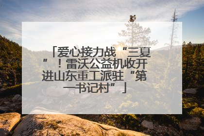爱心接力战“三夏”！雷沃公益机收开进山东重工派驻“第一书记村”