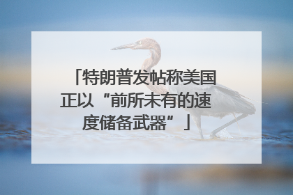 特朗普发帖称美国正以“前所未有的速度储备武器”