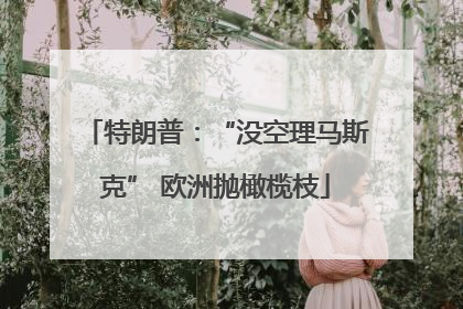 特朗普：“没空理马斯克” 欧洲抛橄榄枝