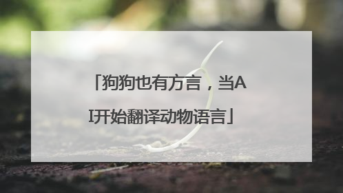 狗狗也有方言，当AI开始翻译动物语言
