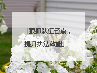 狠抓队伍督察，提升执法效能