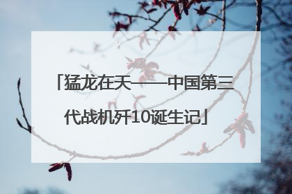 猛龙在天——中国第三代战机歼10诞生记