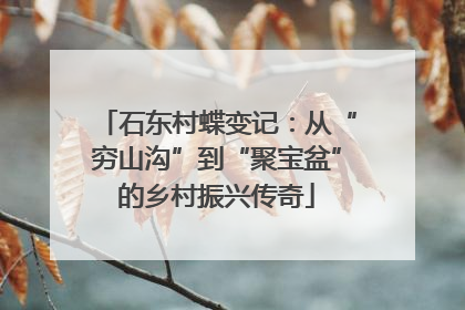 石东村蝶变记：从“穷山沟”到“聚宝盆”的乡村振兴传奇