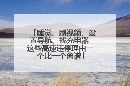 睡觉、刷视频、设置导航、找充电器 这些高速违停理由一个比一个离谱