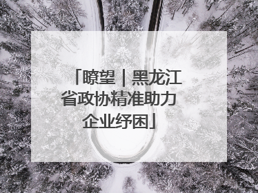 瞭望｜黑龙江省政协精准助力企业纾困