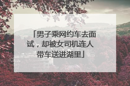 男子乘网约车去面试，却被女司机连人带车送进湖里