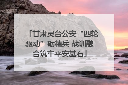 甘肃灵台公安“四轮驱动”砺精兵 战训融合筑牢平安基石