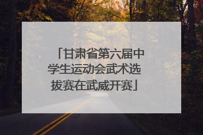 甘肃省第六届中学生运动会武术选拔赛在武威开赛
