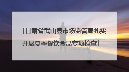甘肃省武山县市场监管局扎实开展夏季餐饮食品专项检查