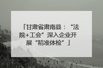 甘肃省肃南县：“法院+工会”深入企业开展“精准体检”