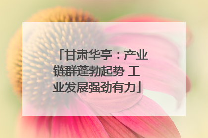 甘肃华亭：产业链群蓬勃起势 工业发展强劲有力