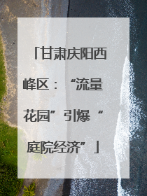 甘肃庆阳西峰区：“流量花园”引爆“庭院经济”