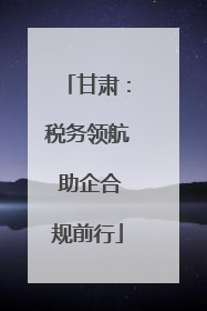 甘肃：税务领航 助企合规前行
