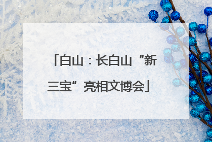 白山：长白山“新三宝”亮相文博会