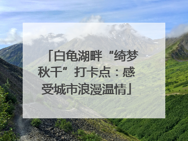 白龟湖畔“绮梦秋千”打卡点：感受城市浪漫温情