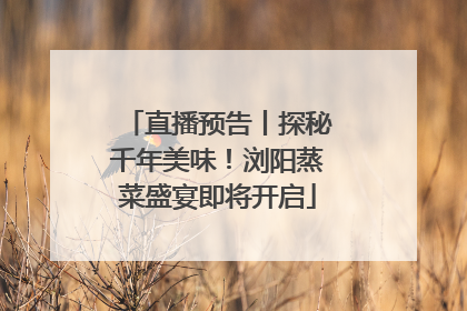 直播预告丨探秘千年美味！浏阳蒸菜盛宴即将开启