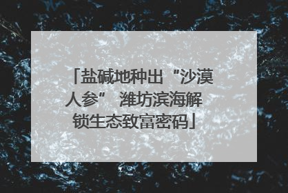 盐碱地种出“沙漠人参” 潍坊滨海解锁生态致富密码