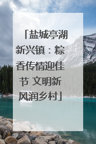 盐城亭湖新兴镇：粽香传情迎佳节 文明新风润乡村