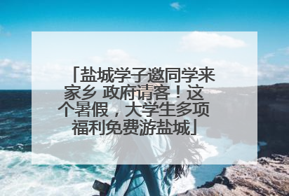 盐城学子邀同学来家乡 政府请客！这个暑假，大学生多项福利免费游盐城