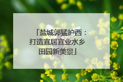 盐城郭猛护西：打造宜居宜业水乡田园新美景
