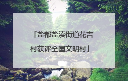 盐都盐渎街道花吉村获评全国文明村