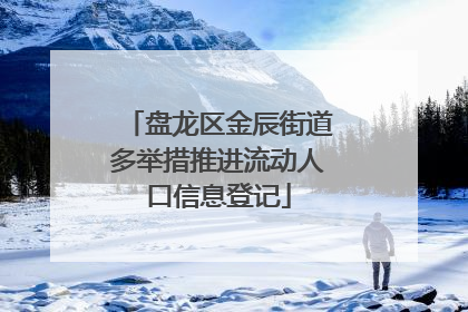 盘龙区金辰街道多举措推进流动人口信息登记