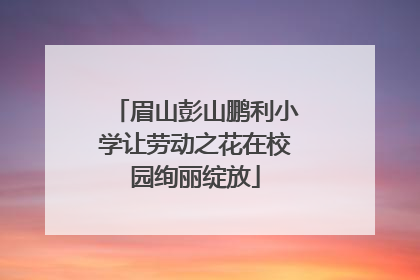 眉山彭山鹏利小学让劳动之花在校园绚丽绽放