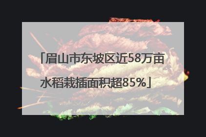 眉山市东坡区近58万亩水稻栽插面积超85%