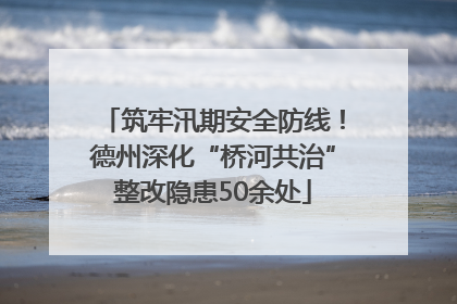 筑牢汛期安全防线！德州深化“桥河共治”整改隐患50余处