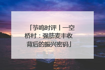 筝鸣时评丨一空桥村：强筋麦丰收背后的振兴密码