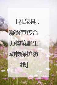 礼泉县：凝聚宣传合力构筑野生动物保护防线