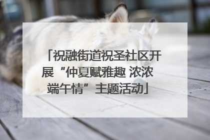 祝融街道祝圣社区开展“仲夏赋雅趣 浓浓端午情”主题活动