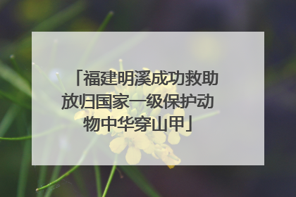 福建明溪成功救助放归国家一级保护动物中华穿山甲