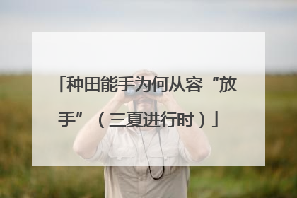 种田能手为何从容“放手”（三夏进行时）
