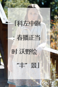 科左中旗：春播正当时 沃野绘“丰”景