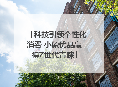 科技引领个性化消费 小象优品赢得Z世代青睐