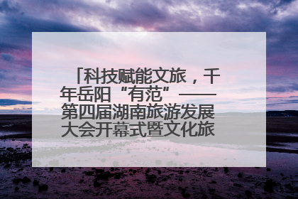 科技赋能文旅，千年岳阳“有范”——第四届湖南旅游发展大会开幕式暨文化旅游推介会侧记