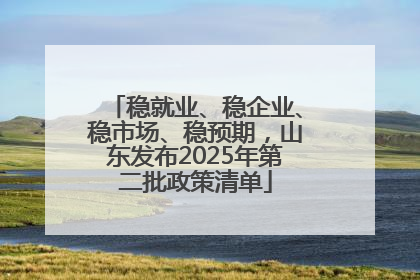 稳就业、稳企业、稳市场、稳预期，山东发布2025年第二批政策清单