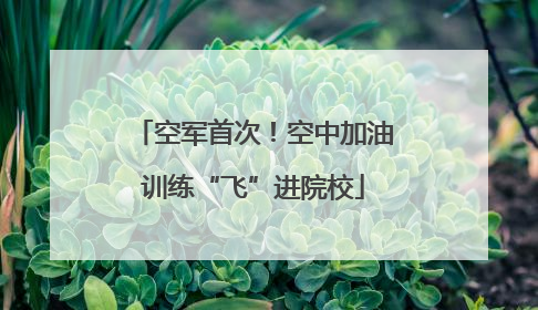 空军首次！空中加油训练“飞”进院校