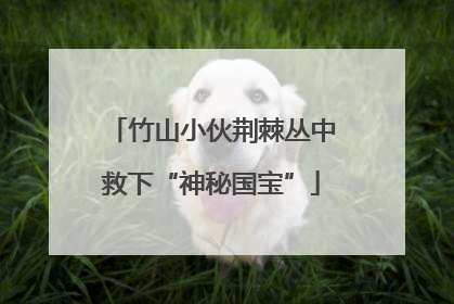 竹山小伙荆棘丛中救下“神秘国宝”
