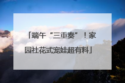 端午“三重奏”！家园社花式宠娃超有料