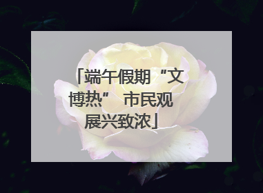 端午假期“文博热” 市民观展兴致浓