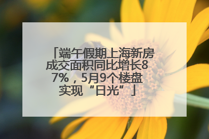 端午假期上海新房成交面积同比增长87%，5月9个楼盘实现“日光”