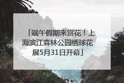 端午假期来赏花！上海滨江森林公园绣球花展5月31日开幕