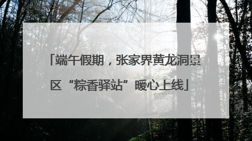 端午假期，张家界黄龙洞景区“粽香驿站”暖心上线