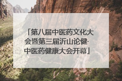 第八届中医药文化大会暨第三届沂山论健·中医药健康大会开幕