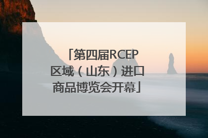 第四届RCEP区域（山东）进口商品博览会开幕